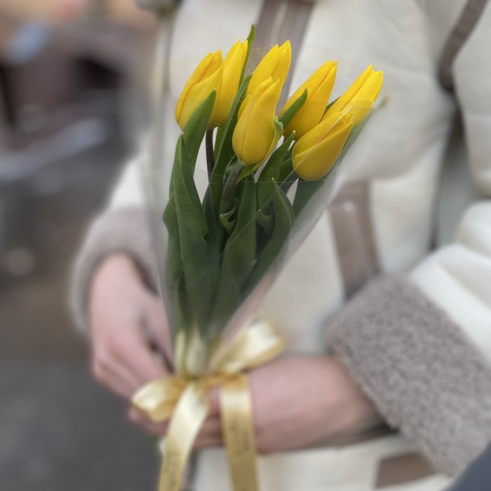 7 желтых тюльпанов в пленке